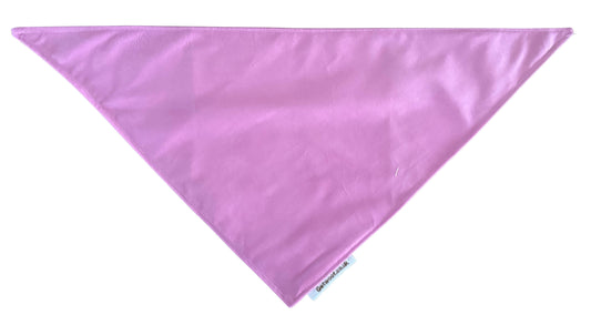Rainbow Special Bandana
