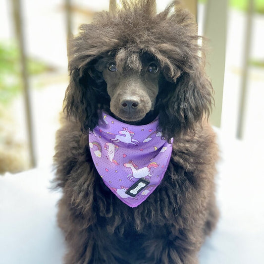 Daydreams and Unicorns Cooling Bandana