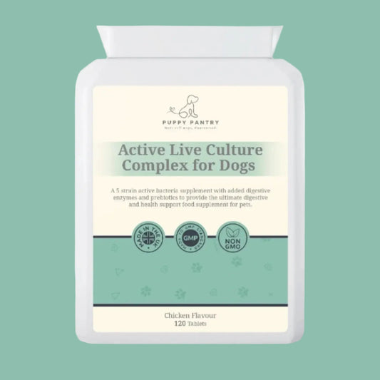 Gut Health Supplement for Dogs - Probiotics, Prebiotics, Enzymes - Chicken Flavor - 120 Tablets - Dog Digestive Support
