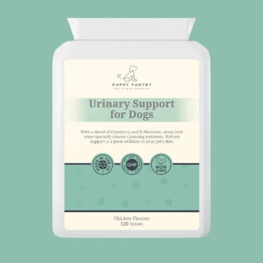 Dog Incontinence & UTI Support Tablets - Bladder Control, Kidney Support & Urinary Tract Health - Natural Supplements with Cranberry & D-Mannose