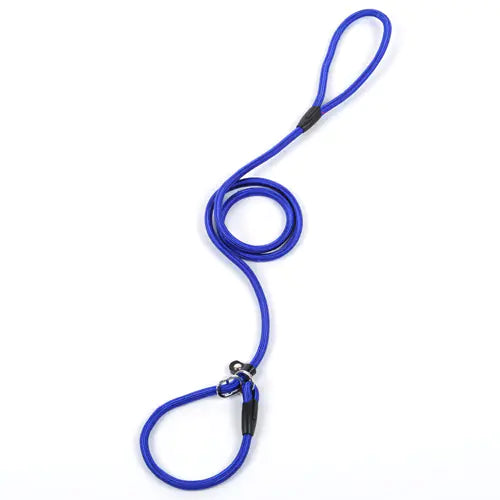 Dog Leash and Harness for Pets - New Style