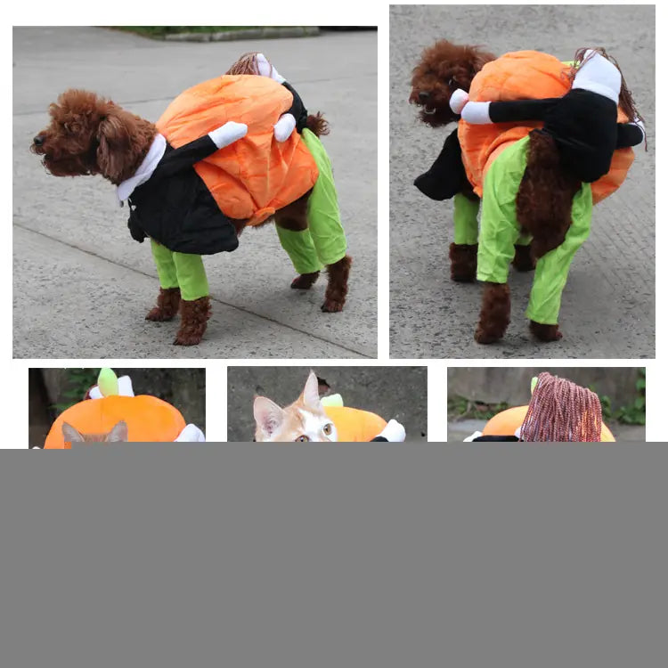 Halloween Pet Costume for Dogs - Pumpkin Outfit