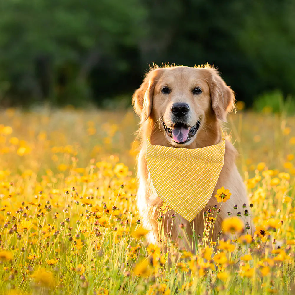 Plaid Cotton Triangle Scarf for Dogs and Cats