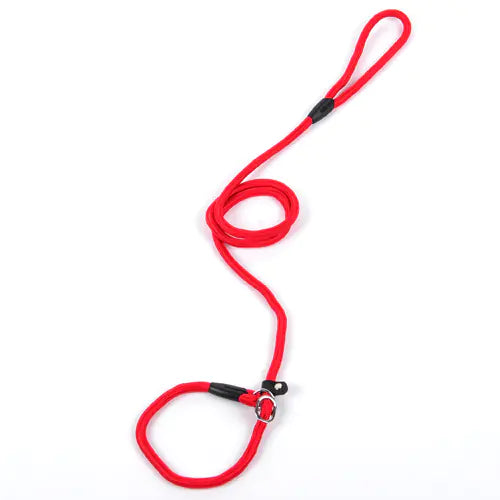 Dog Leash and Harness for Pets - New Style