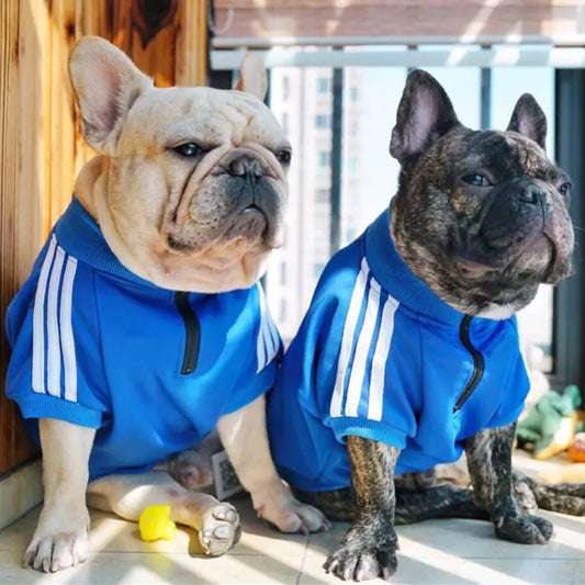 Dog Hoodie with Three Stripes for Pets
