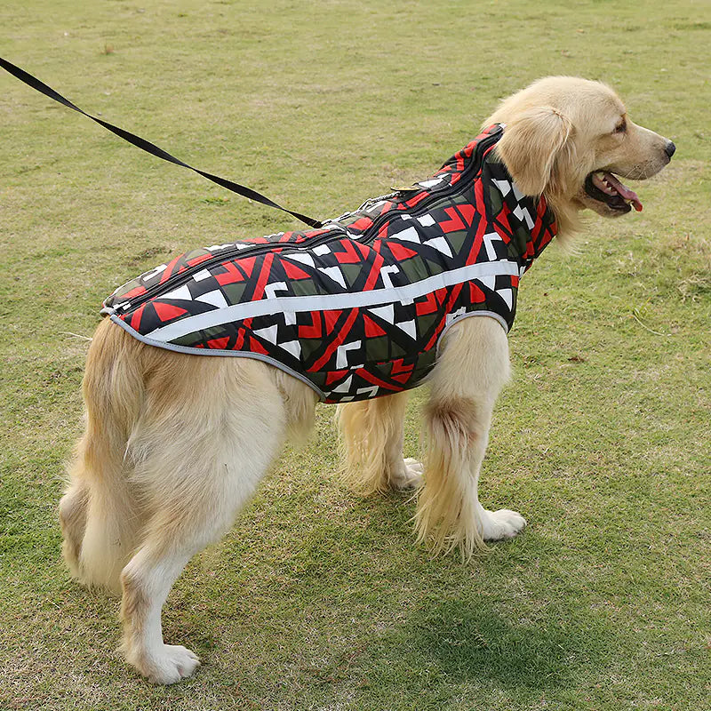Mesh Dog Coat, Teddy Cotton Vest for Winter Wear