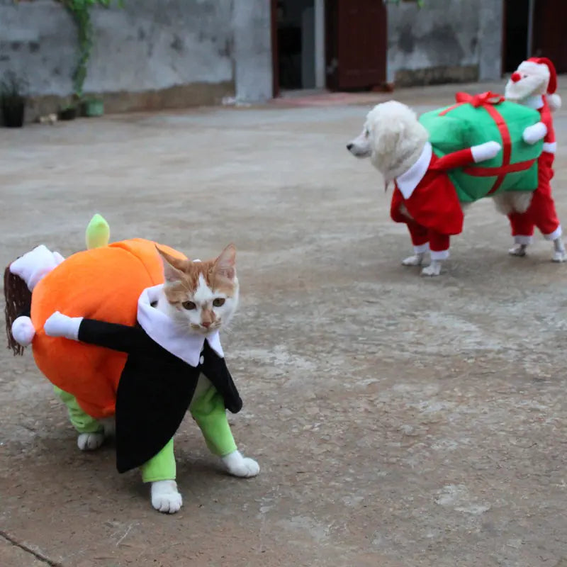 Halloween Pet Costume for Dogs - Pumpkin Outfit