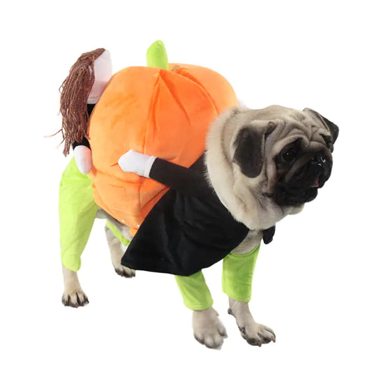 Halloween Pet Costume for Dogs - Pumpkin Outfit