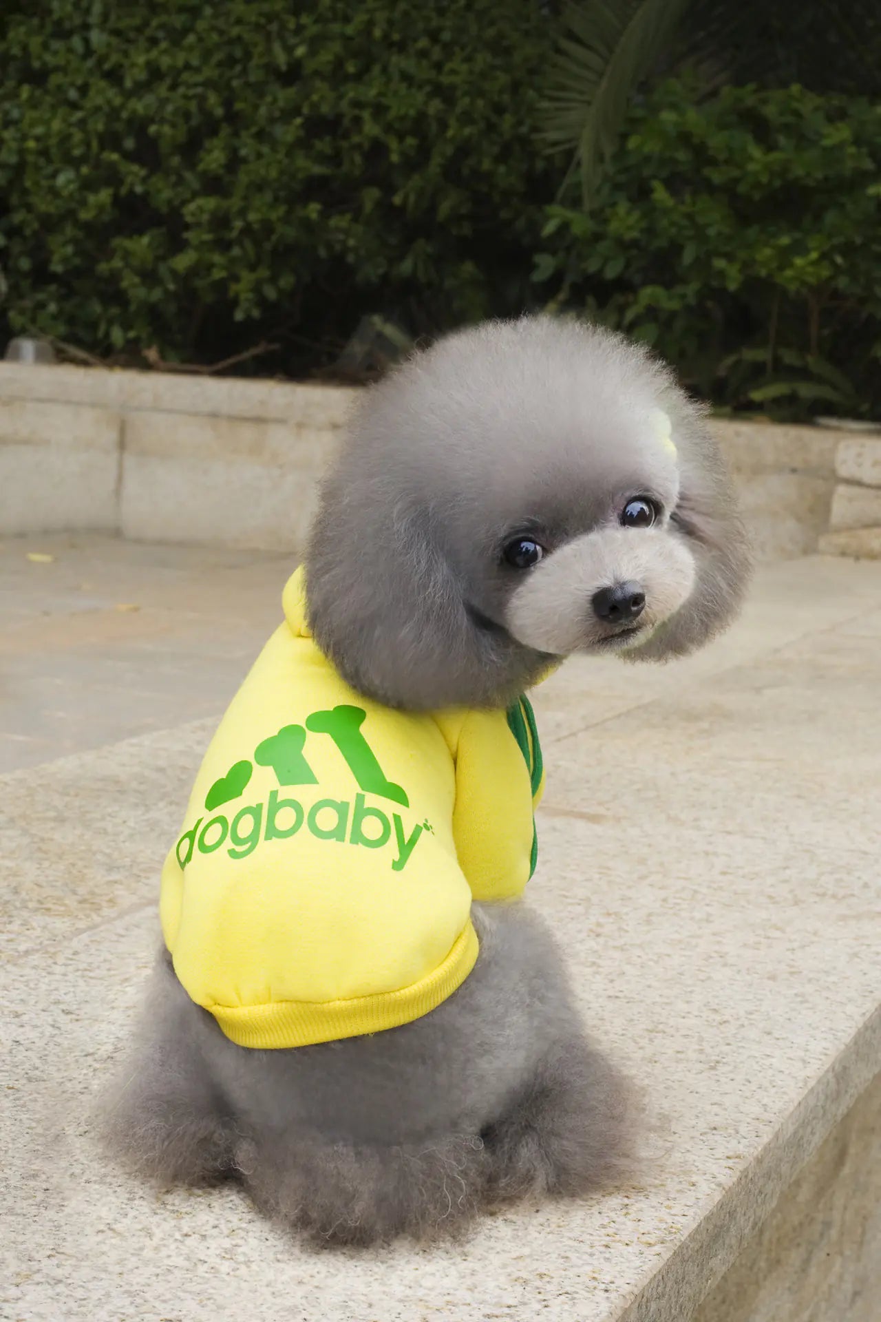 DogBaby Autumn Winter Sports Hoodie for Pets