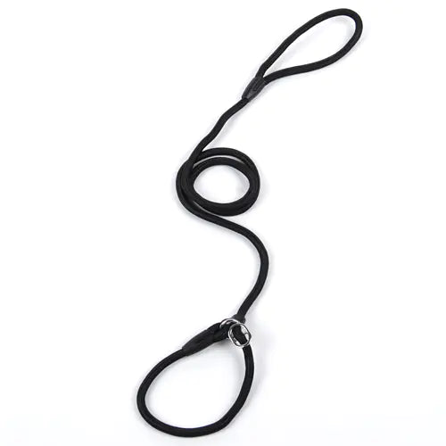 Dog Leash and Harness for Pets - New Style