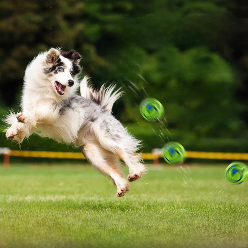 Pet Sound Ball - Interactive Chew Ball with Sound
