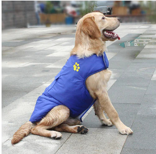 Winter Cotton Coat for Dogs