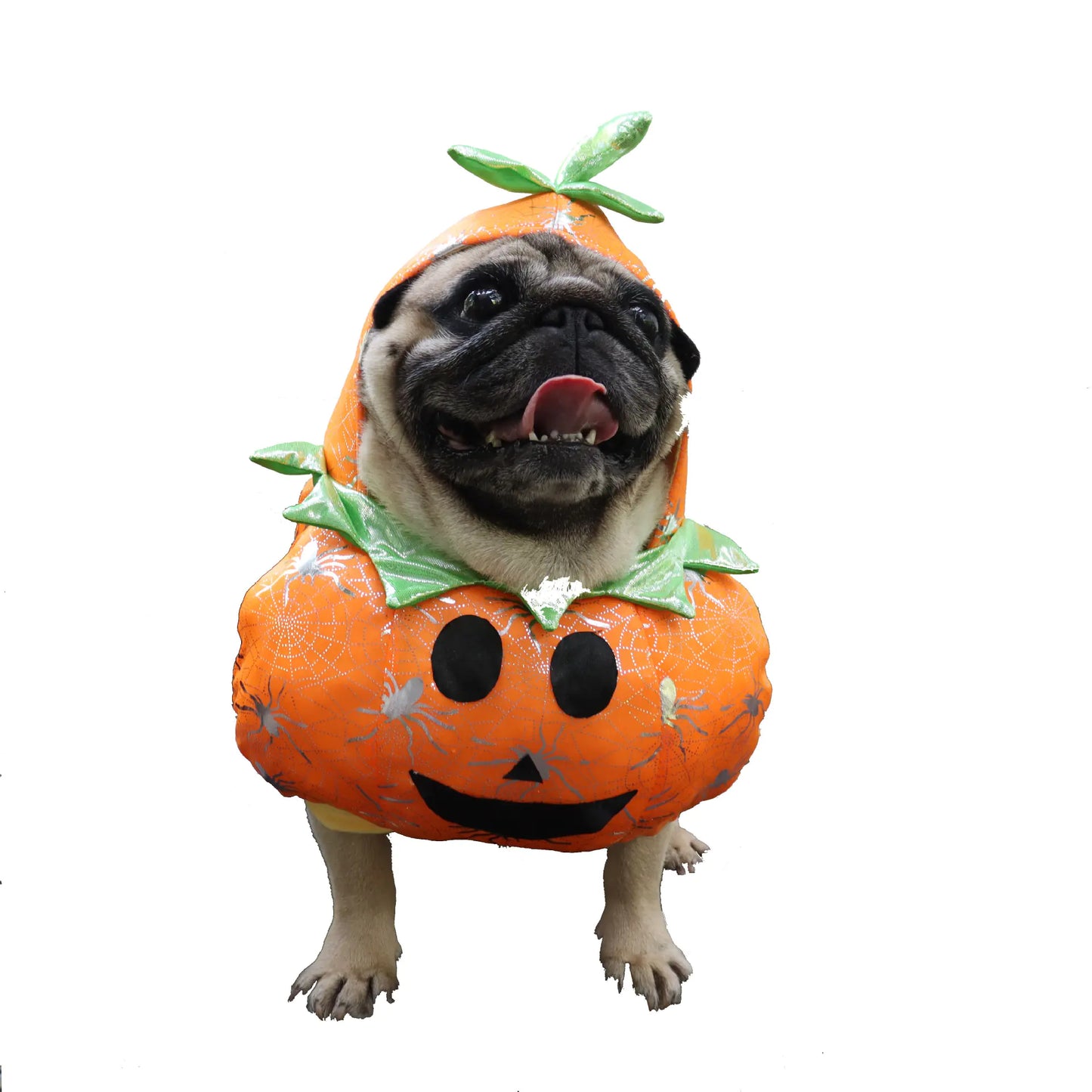 Halloween Costume for Dogs  - Funny Pumpkin Outfit