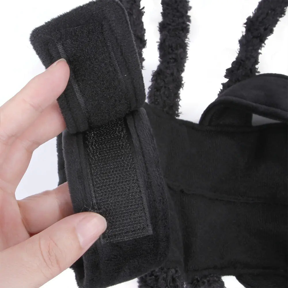 Halloween Pet Costume with Spider Design for Dogs and Cats