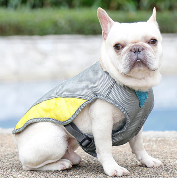 Cooling Summer Vest for Dogs - Breathable Pet Apparel